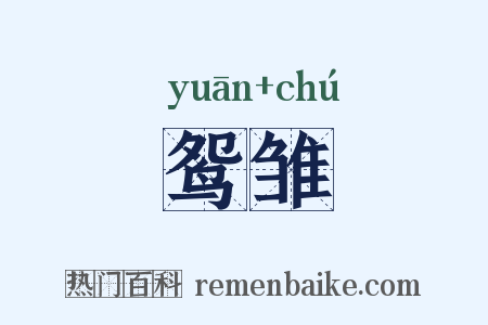 鸳雏是什么意思的图片